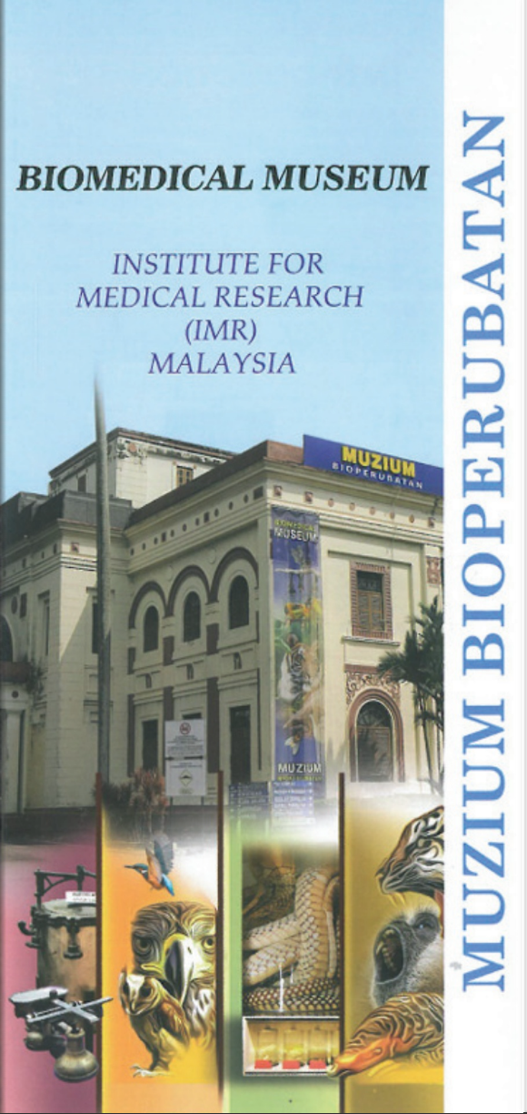 Brochure (English) | 2025 Image